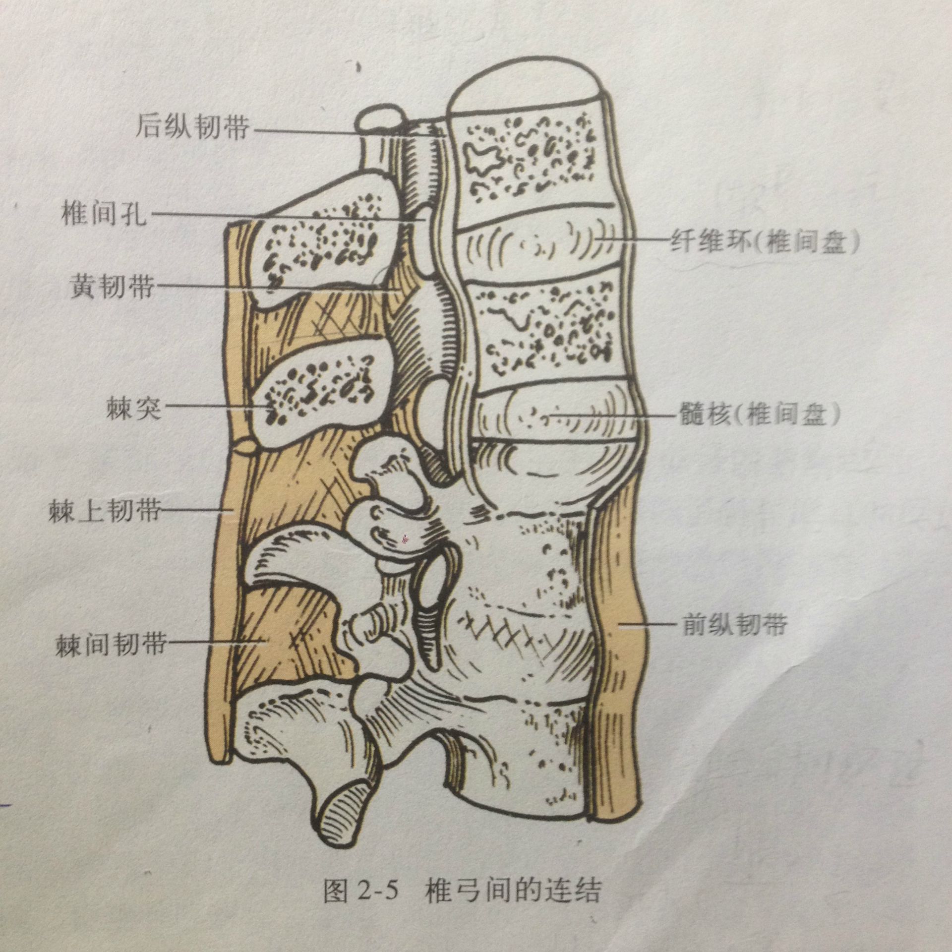 后期可有大小便功能障碍 体征:肌力减退,四肢腱反射活跃