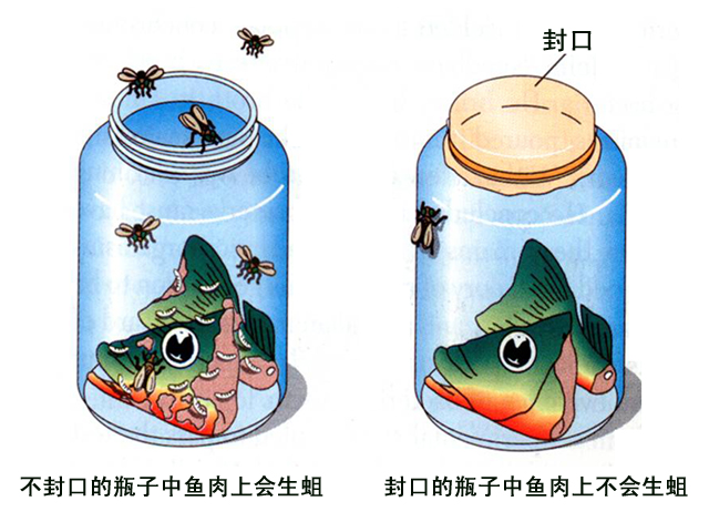 化学起源说 生物是从非生物环境中自然发生出来的: 腐草化萤 腐肉生蛆