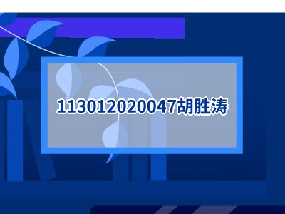 113012020047胡胜涛 PPT制作软件